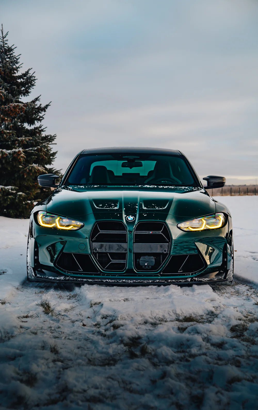 Dry Carbon Fiber CSL Style Front Grill - G80 M3 | G82/G83 M4 - Vital Motorsports Center